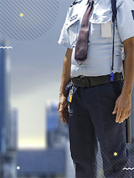 vigilancia vigilancia